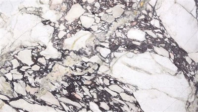 Breccia Capraia Mramorne ploče Wall&Countertop